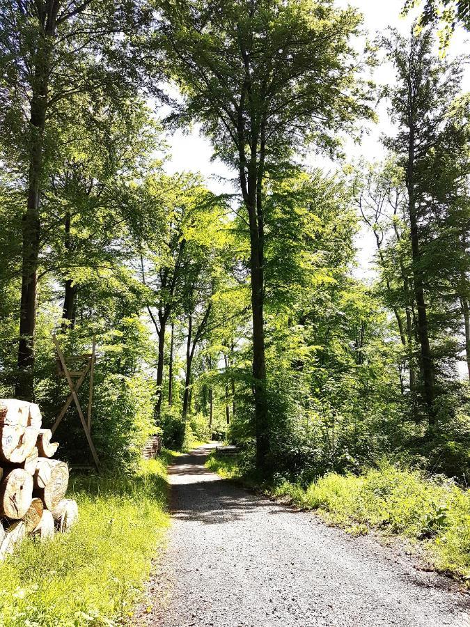 Steewer Landhaus Gemuetliche Ferienwohnung Bis 6 Pers In Ruhiger Ortsrandlage Stebach Eksteriør billede