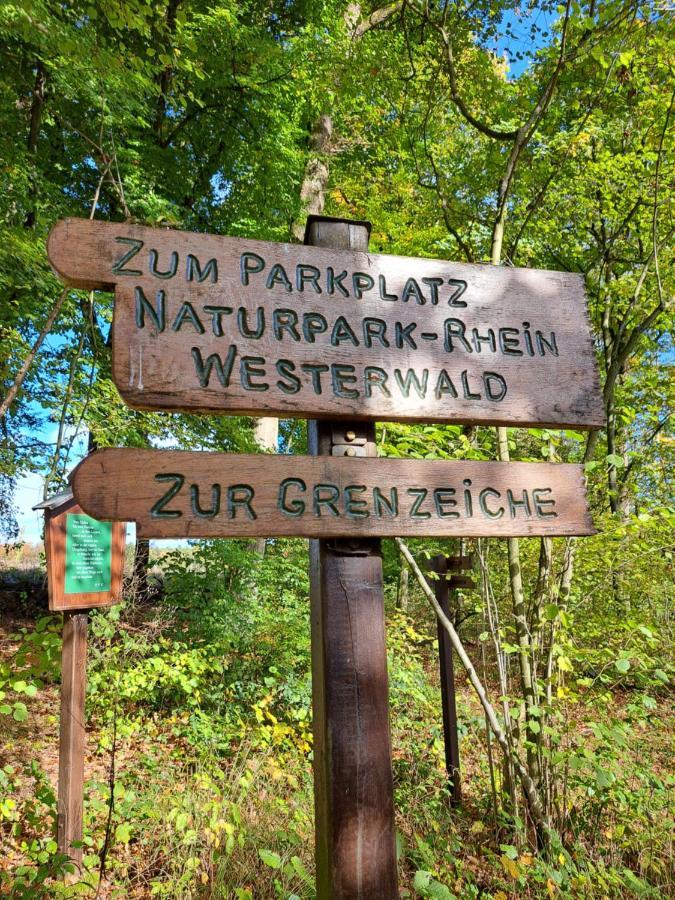Steewer Landhaus Gemuetliche Ferienwohnung Bis 6 Pers In Ruhiger Ortsrandlage Stebach Eksteriør billede