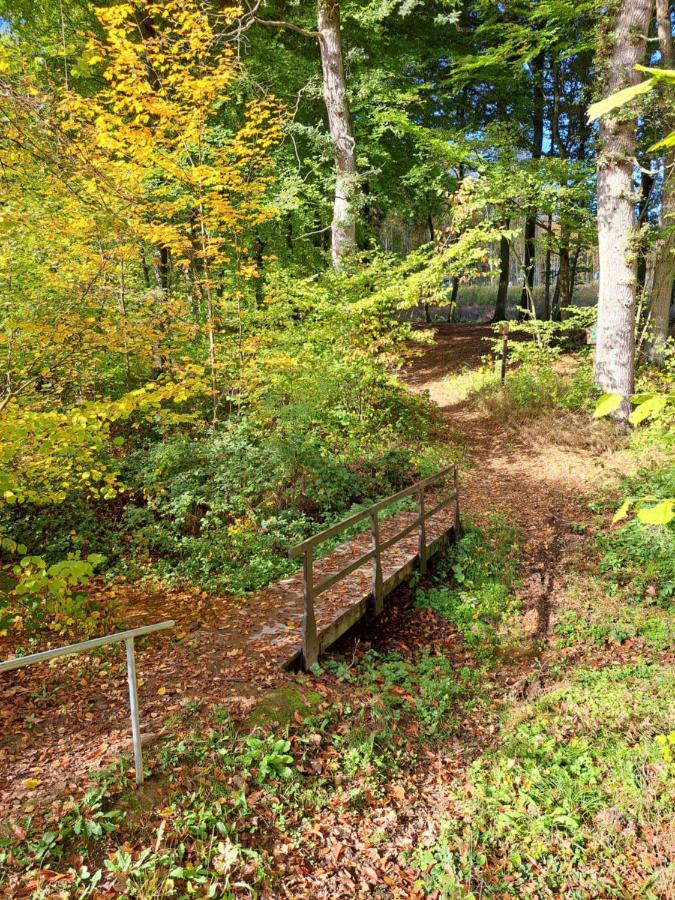 Steewer Landhaus Gemuetliche Ferienwohnung Bis 6 Pers In Ruhiger Ortsrandlage Stebach Eksteriør billede